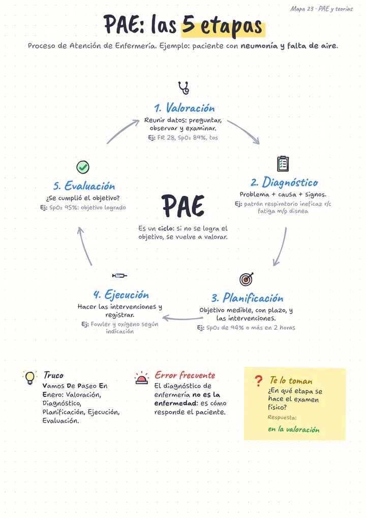 Mapa de PAE: las 5 etapas