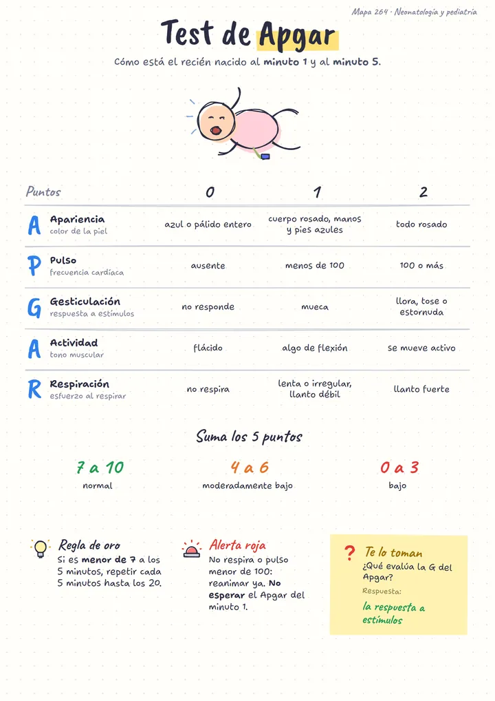 Mapa del test de Apgar